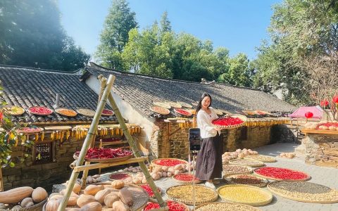 W020240923320880799225