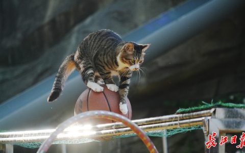 W020240923541269781009