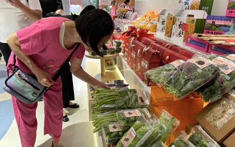 W020240925313989947574