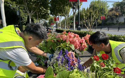 W020240925525020204660