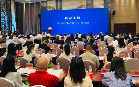 武汉2024企业100强分析报告发布