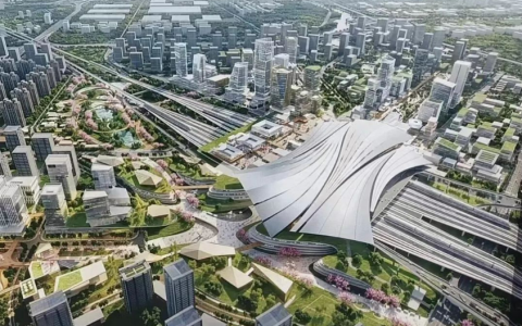 W020240929319420613936