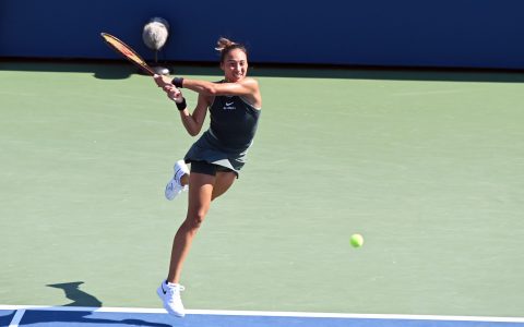 W020240929469413904286