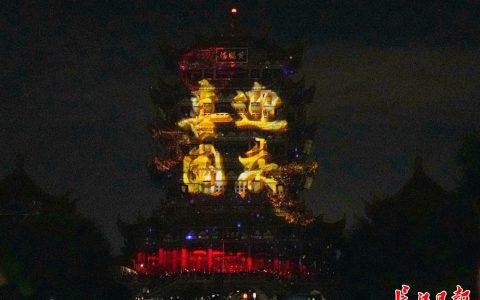 W020241002375528201181