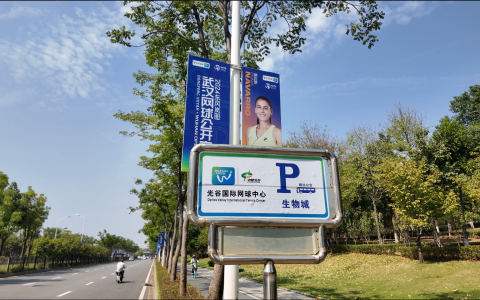 W020241002530110190516