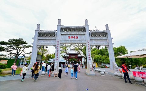 W020241002537488528145