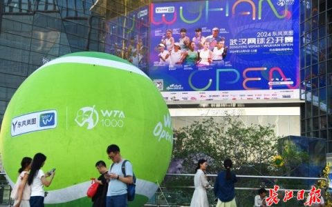 W020241006308822942584