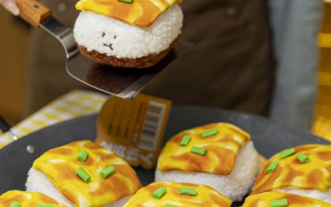 W020241006519002595352