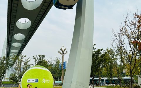 W020241007315566352044