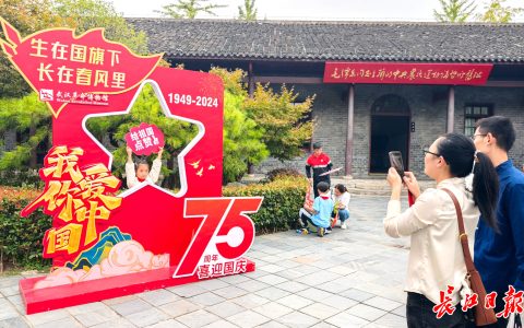 W020241007513157082973