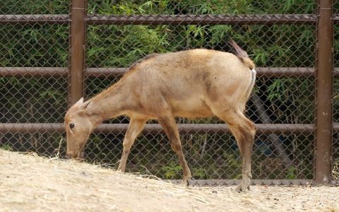 W020241007515223851324