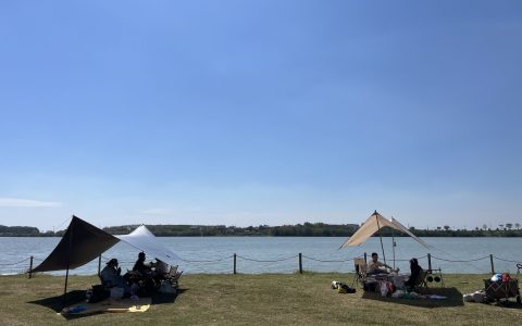 W020241008414718302935