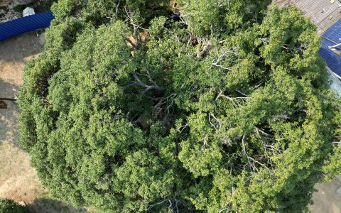 W020241010314221022195