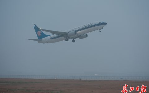 W020241015402183163124