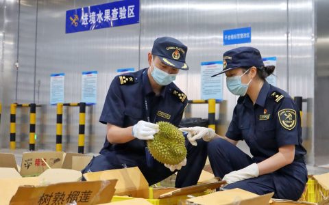 W020241016320403326649