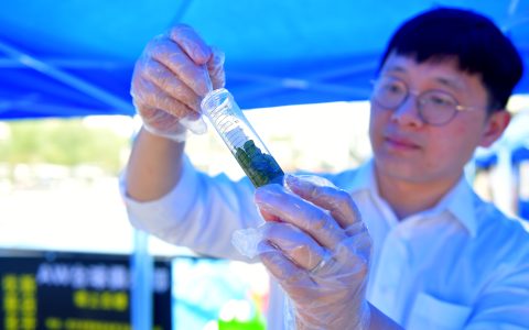 W020241016322807056929