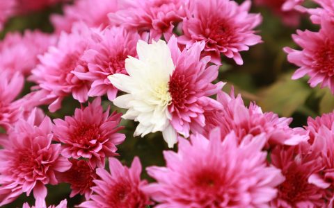 W020241016325906689665