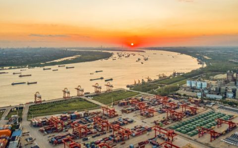 W020241016330313035102