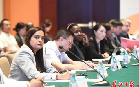 W020241017308245636967