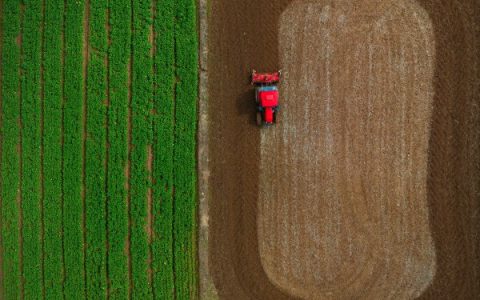 W020241019345074002489