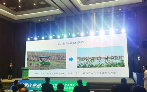 W020241021544217807834