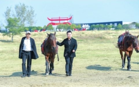 W020241021595072695367