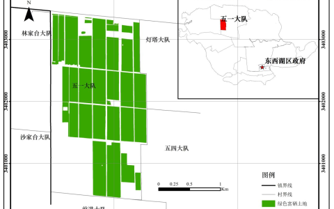 W020241024551182490990