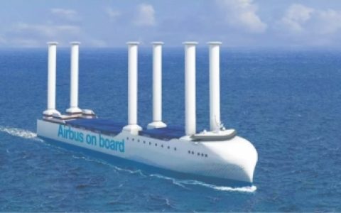 W020241025310039603434