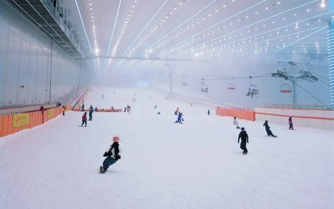 W020241027300022622286