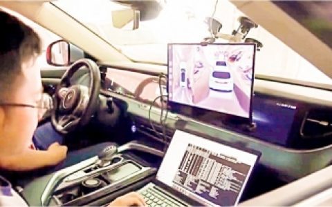 W020241028305942324801