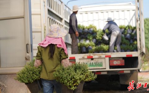 W020241029318973005453