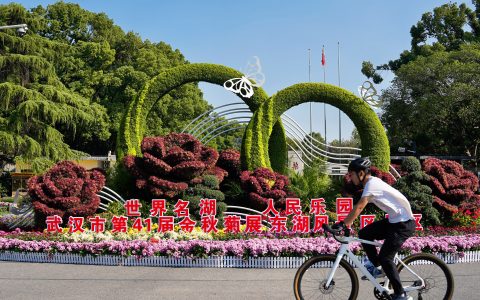 W020241101720435356273