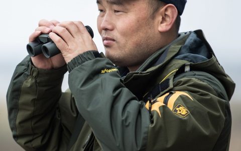 W020241103403030640240