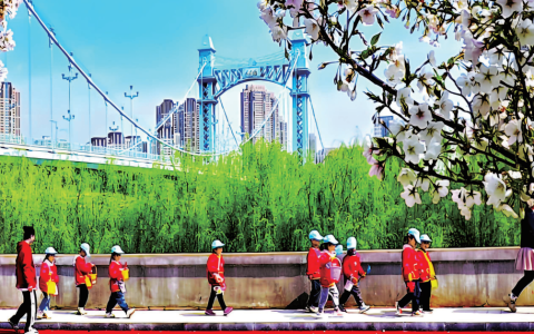 W020241104313141101427