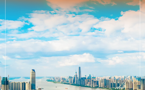 武汉作为，全国推介！