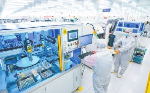 W020241105339204832483