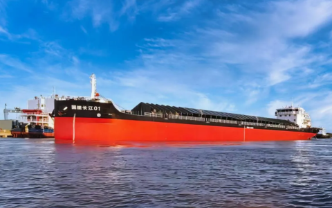 W020241105379486367313