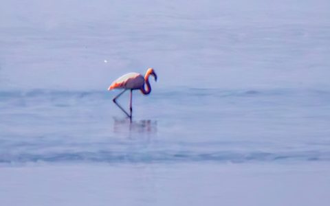 W020241105392761016242