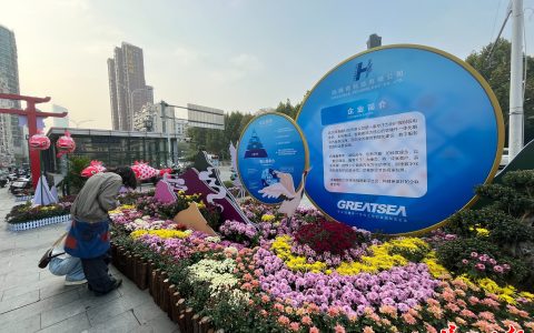 W020241105760817365710