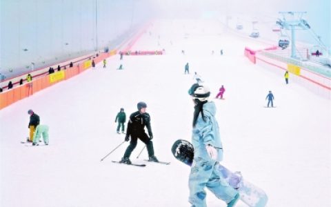 W020241106317547993058