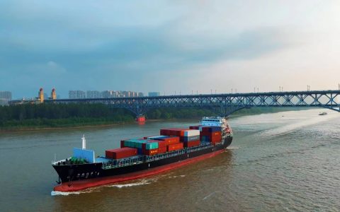 W020241106338538127893