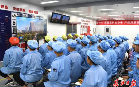 W020241107381353915963