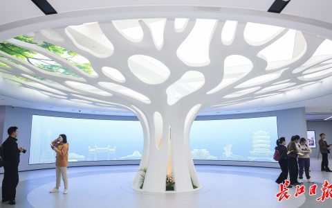 W020241107383619586840