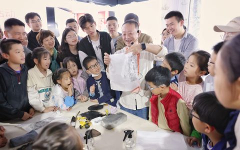 W020241107392201208848