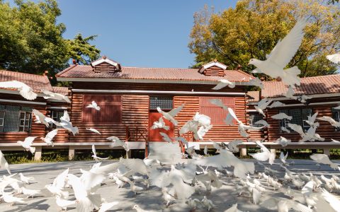 W020241108323054259597