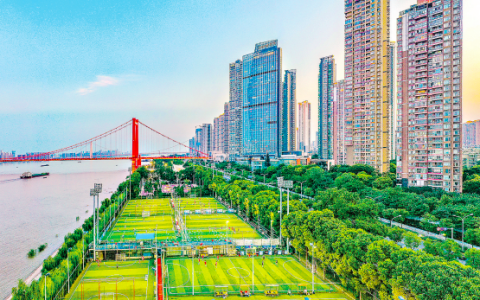 W020241108341674826616