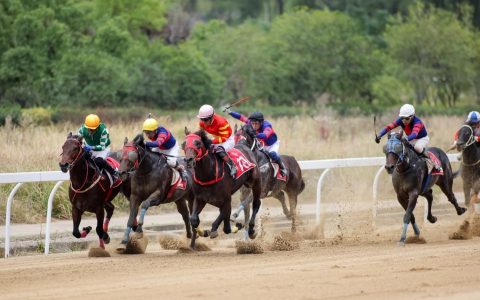 W020241110545456715786