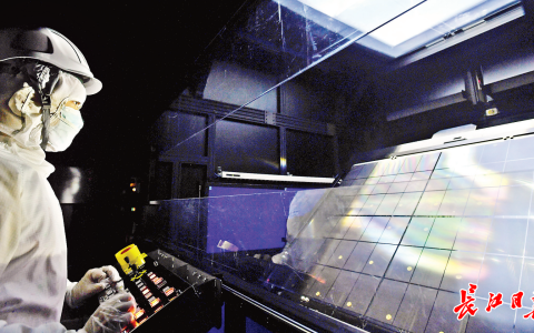 W020241111312609377923