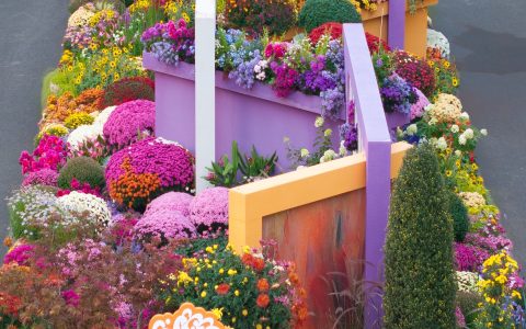 W020241113385108932041