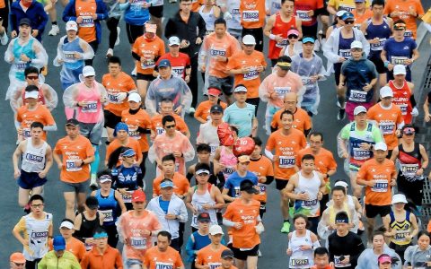 W020241118358963613731